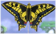 Miniature Butterfly Kite by Tom Tinney