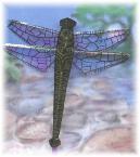 Gold Miniature Dragonfly Kite by Tom Tinney